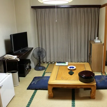 汤元白金温泉酒店 #5