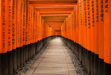 木兰旅馆 #2