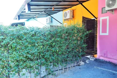 蜂蜜旅馆 #5