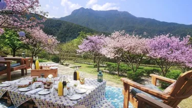 阳明山天籁度假酒店 #2