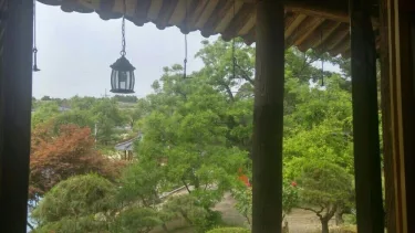 安东养素堂 #4