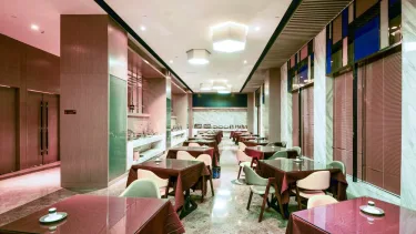拉萨布达拉宫智选假日酒店 - IHG 旗下饭店 #4