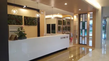 眠树酒店 #3
