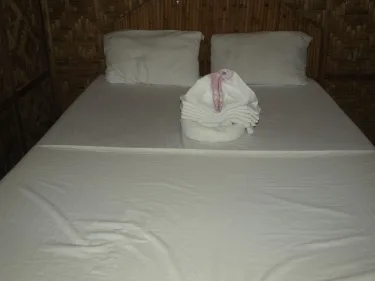 鲨鱼尾巴潜水中心酒店 #2