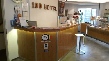 100 冰岛酒店 #3