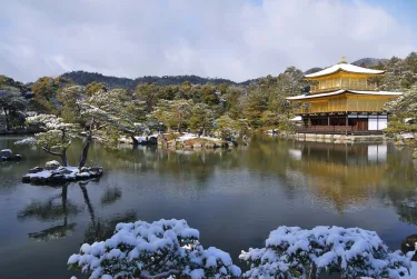 樱花小町旅馆 - 青年旅舍 #4