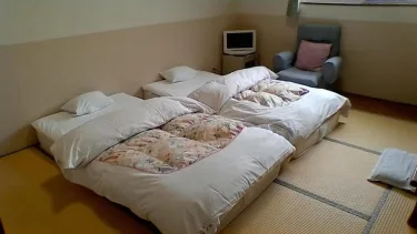 圣诞玫瑰藏王旅馆 #2