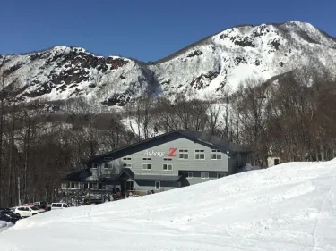 圣诞玫瑰藏王旅馆 #4