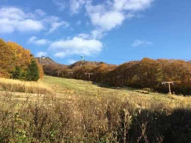 圣诞玫瑰藏王旅馆 #5