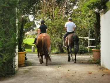 Relais de chasse la Chaignaie #4