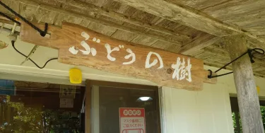 古宇利岛葡萄树旅馆 #4