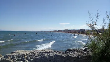 La Casa del Arti #5