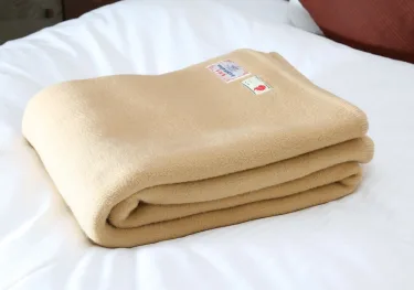 盛冈大和ROYNET酒店 #2