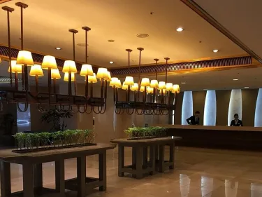 格兰特酒店 #2