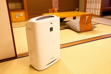 飞鸟庄 #3