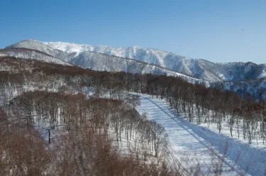 野泽温泉村  狸小屋民宿 #3