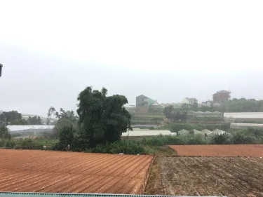 大叻巧克力家庭旅馆 #3