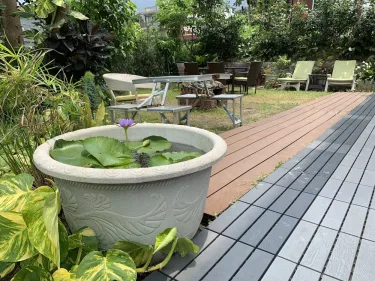City Oasis Guesthouse #3