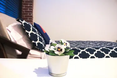 The Haas, Trademark Collection by Wyndham = 哈斯, 温德姆商标精选 #2