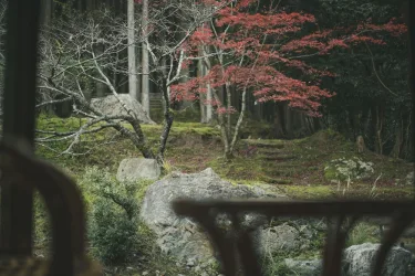 Matsunaga Rokkan Fujiya #4