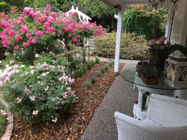 克拉伦登小屋 #2