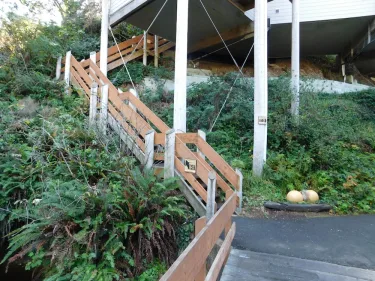 Little Creek Cove Beachfront Resort #2