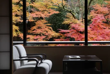 山中温泉花紫 #2