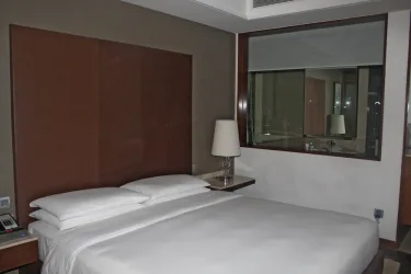 Hyatt Ahmedabad #2