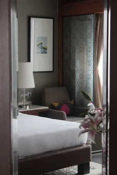 Hyatt Ahmedabad #4