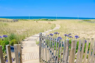 Hotel & Spa Les Bains de Cabourg by Thalazur #3