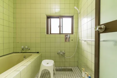 Ishigaki House #4