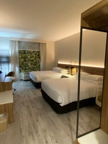 Wyndham Garden Orlando Airport - Ee3d507d Z