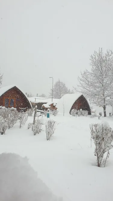 Zeyve Lavanta Tatil Köyü #5