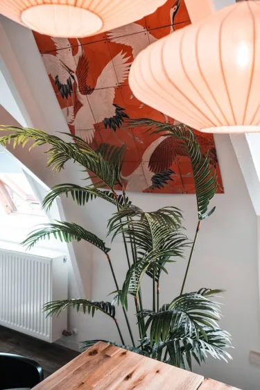 Casa Coral #5