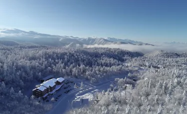 旭岳温泉酒店熊山 #3