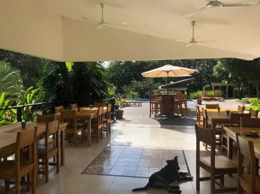 Guácima Escondida Hotel Boutique #5