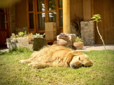URUHome Cusco #4