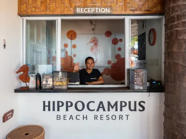 Hippocampus #5