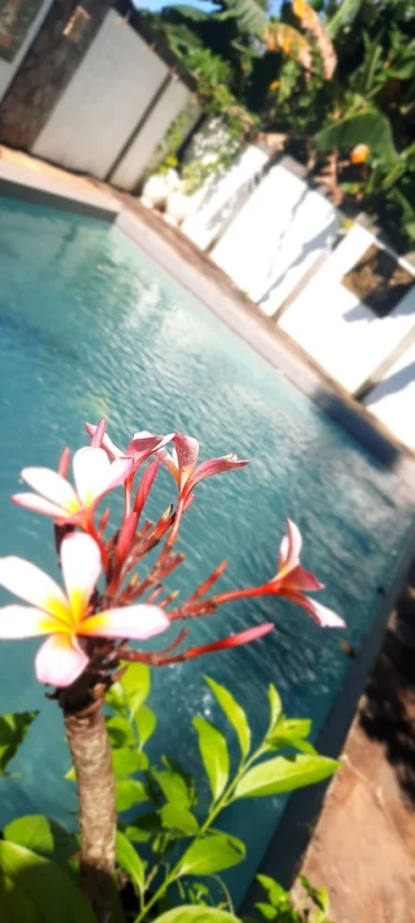 4 鱼旅馆 #2
