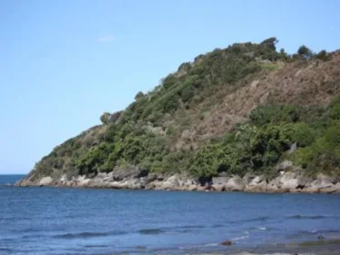 Summerspring Beachfront Accommodation #4
