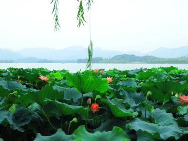 橘子酒店（杭州西湖湖滨凤起路地铁站店） #2