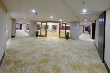 新亚柳叶国际大酒店 #5