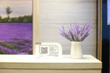 麗枫酒店拉萨布达拉宫纳金路店 #4