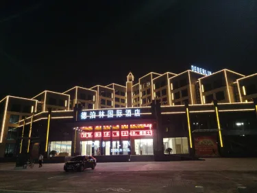 德泊林国际酒店 #3