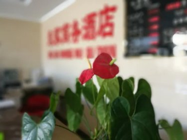 巴林左旗朱家商务酒店 #3