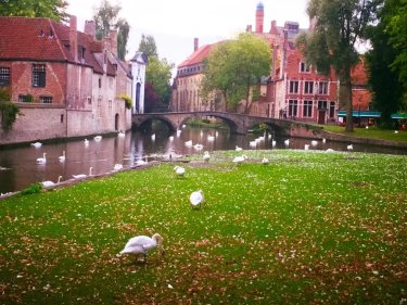 B&B La Maison Bruges #4