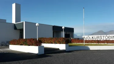 Milk factory #4