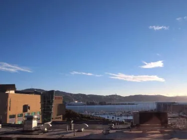 QT Wellington #3
