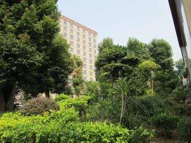 阳山宾馆 #3