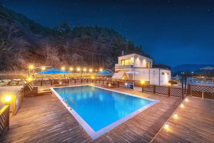 Gapyeong Dangdangi Pet Poolvilla Blue #1